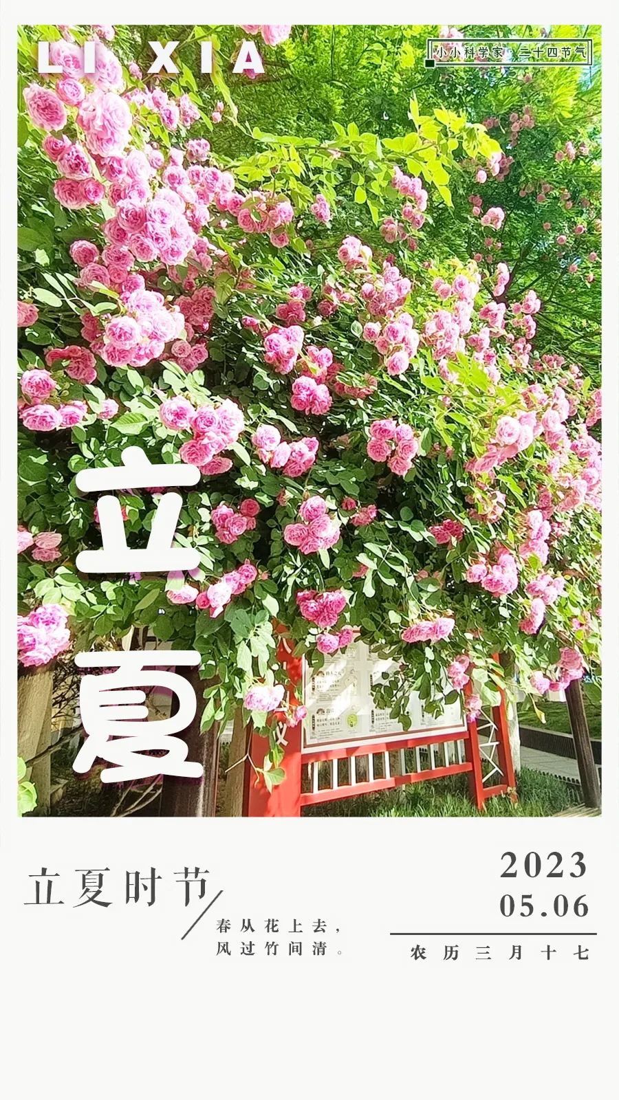 立夏|绿荫渐浓夏日长(图1)